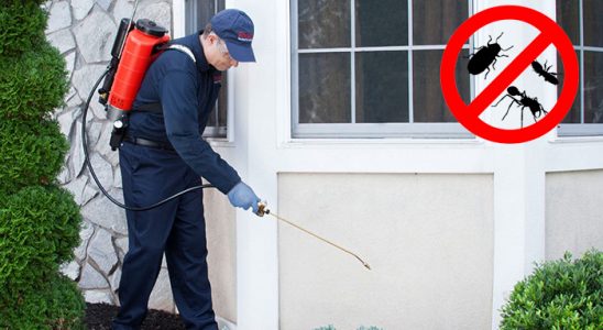 Beykoz Gümüşkurt İlaçlama böcek ilaçlama ve haşere kontrolü — ilaclama-tr.com